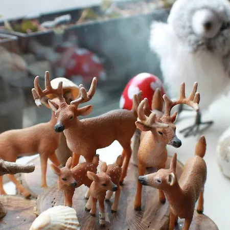 Deerpark Pensión Portumna